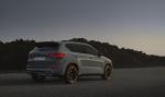 Cupra Ateca Limited Edition 2019 года (WW)